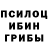 Галлюциногенные грибы Psilocybe Batyr Hojamamedov