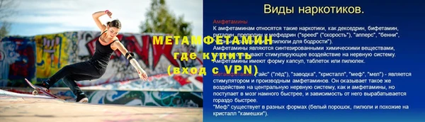 шишки Белоозёрский