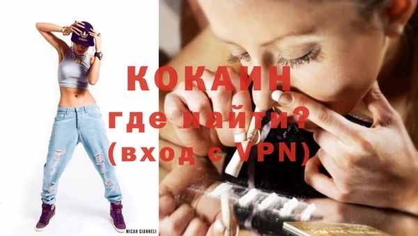 шишки Белоозёрский