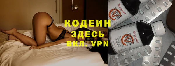 индика Балахна