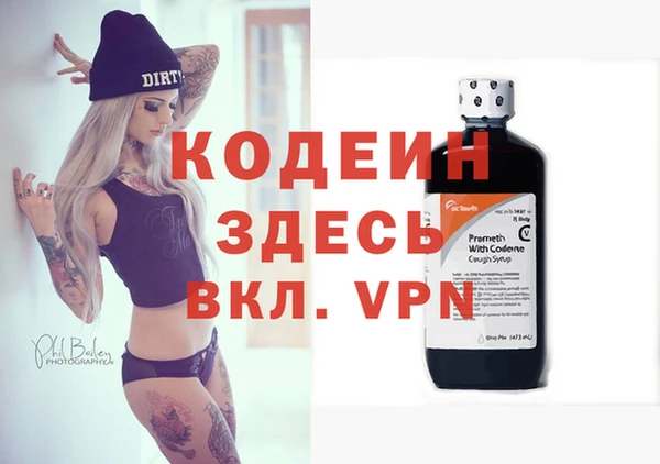 индика Балахна