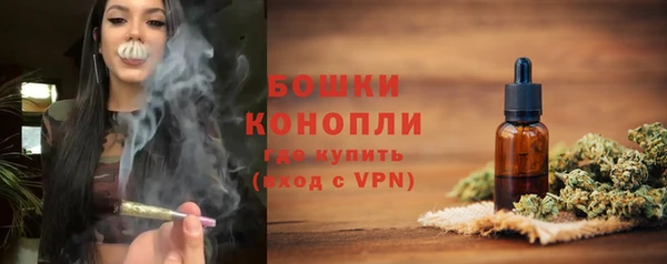 шишки Белоозёрский