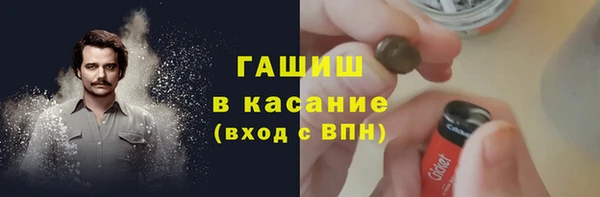 индика Балахна