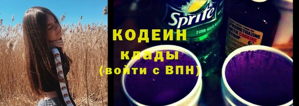 шишки Белоозёрский
