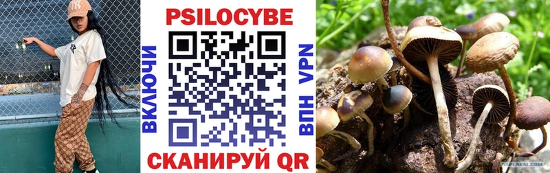 Псилоцибиновые грибы Psilocybine cubensis  как найти закладки  Невель 